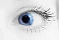 Blue eye Royalty Free Stock Photo