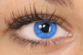 Blue eye Royalty Free Stock Photo