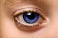 Blue eye Royalty Free Stock Photo