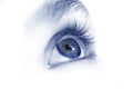 Blue eye Royalty Free Stock Photo