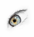 Blue eye Royalty Free Stock Photo