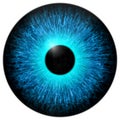 Blue eye 3d texture with black fringe