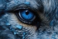 blue eye of a dog close-up, blue eyes of a dog, Extreme detail close-up of super bright blue wolf eyes, AI Generated Royalty Free Stock Photo