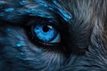 Blue eye of a fox. Close-up. Toned, close up of super bright blue wolf eyes extreme detail, AI Generated Royalty Free Stock Photo