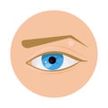 Blue eye icon vector illustration design isolated Royalty Free Stock Photo