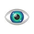 Blue Eye Icon. Vector Royalty Free Stock Photo