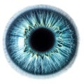 Blue eye iris - human pupil Royalty Free Stock Photo