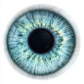 Blue eye iris - human pupil Royalty Free Stock Photo