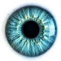 Blue eye iris - human pupil Royalty Free Stock Photo