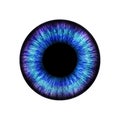Blue eye, iris with pupil isolated on white background Royalty Free Stock Photo