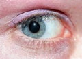 Blue Eye Macro Royalty Free Stock Photo