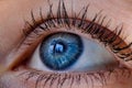 Blue eye macro close up Royalty Free Stock Photo