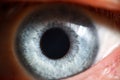 Blue eye male human super macro closeup Royalty Free Stock Photo