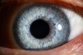 Blue eye male human super macro closeup Royalty Free Stock Photo