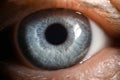 Blue eye male human super macro closeup Royalty Free Stock Photo