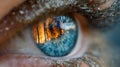 Blue Eye Reflecting a Terrifying Forest Fire in the Iris Royalty Free Stock Photo