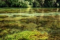 Blue Eye spring of the river Bistrica near Muzine, Albania Royalty Free Stock Photo