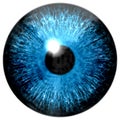Blue eye texture Royalty Free Stock Photo