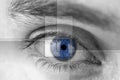 Blue eye with virtual hologram. Royalty Free Stock Photo