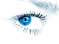 Blue eye on white background