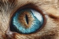 Blue-eyed cat close-up Ai photo Royalty Free Stock Photo