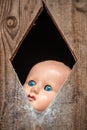 Blue eyed doll peering through a cobweb covered opening in a wooden door. Royalty Free Stock Photo