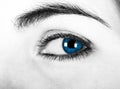 Blue eyes Royalty Free Stock Photo