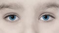 Blue eyes of beautiful young child girl macro photo Royalty Free Stock Photo