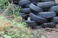 Blue eyes cat in a trye Royalty Free Stock Photo