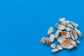 Blue fabric abstract background with a bunch of seashells and marine fossils in the lower right corner. Blank for design or layout Royalty Free Stock Photo