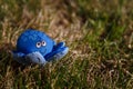 Blue fabric sof octopus toy on green grass, close up. Sea animals concept.