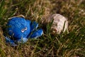 Blue fabric sof octopus toy on green grass next to seashell, close up. Sea animals concept.