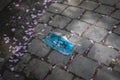 Blue face mask on a stone cobblestone among the fallen sakura flowers in spring