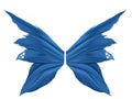 Blue Faery Wings