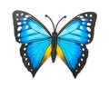 Blue fake butterfly isolated