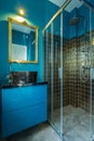 Blue fashionable bathroom