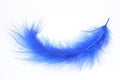 Blue feather Royalty Free Stock Photo