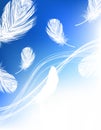 Blue feather background Royalty Free Stock Photo