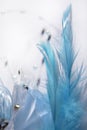 Blue feather background with soft touch Royalty Free Stock Photo