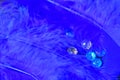 Blue feather with colored crystals Royalty Free Stock Photo
