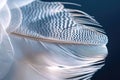 Blue feather detail on dark background Royalty Free Stock Photo