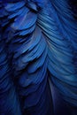 blue feather detail on macro scale Royalty Free Stock Photo