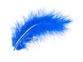 Blue feather on white Royalty Free Stock Photo
