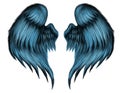 Blue Feather Wings