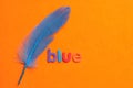 A blue feather with the word blue Royalty Free Stock Photo