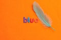 A blue feather with the word blue Royalty Free Stock Photo