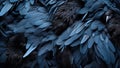 Blue Feathered Ravens in Dark Background