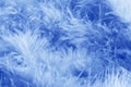 Blue feathers background - stock photo