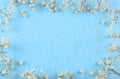 Blue felt background and babies breath border with copy space. Royalty Free Stock Photo