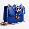 Blue female bag on a white background Royalty Free Stock Photo